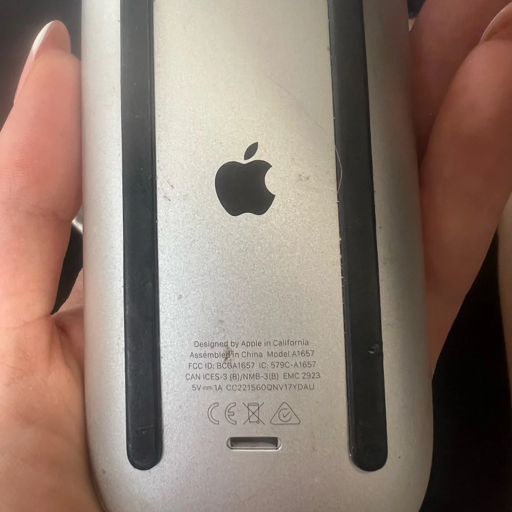 Apple Sleek White Mouse